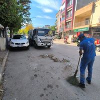 Aydın