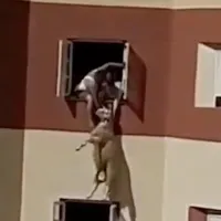 Dünya