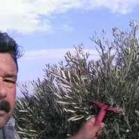 Güncel