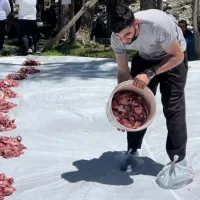 Güncel