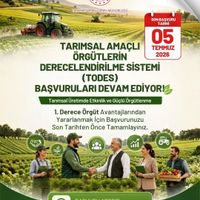 Aydın