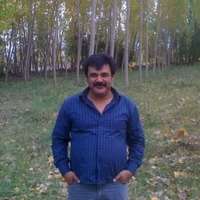 Aydın
