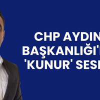Aydın