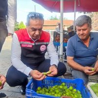 Aydın