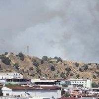 Aydın