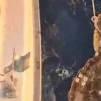 Aydın