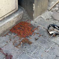 Aydın
