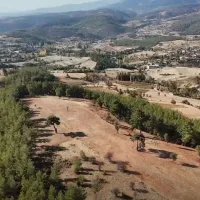 Aydın