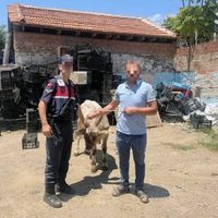 Aydın