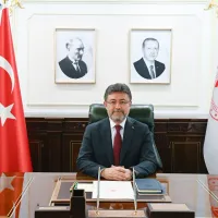 Güncel