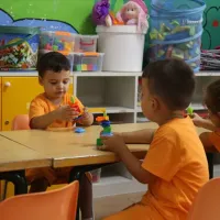 Eğitim