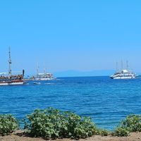 Aydın
