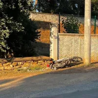 Asayiş