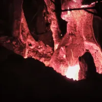Asayiş