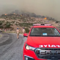 Aydın