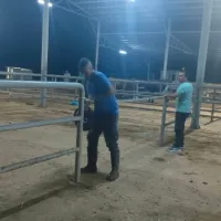 Aydın