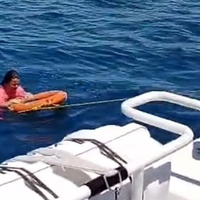 Aydın
