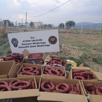 Asayiş