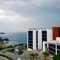 Aydın