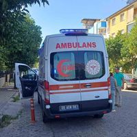 Aydın
