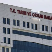 Güncel