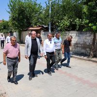 Aydın
