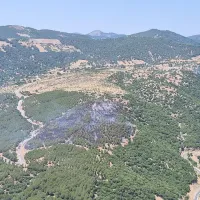 Aydın