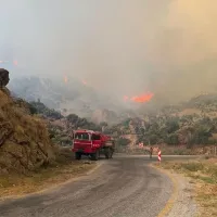 Aydın