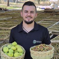 Güncel