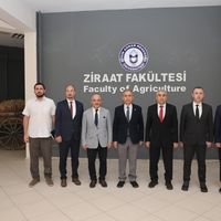Güncel