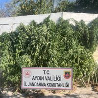 Asayiş