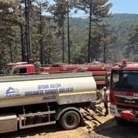 Aydın