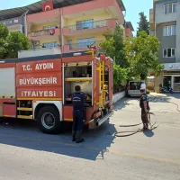 Genel