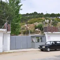 Güncel
