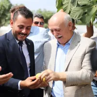 Güncel