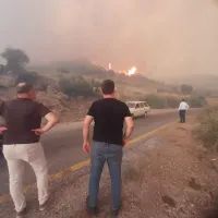 Aydın