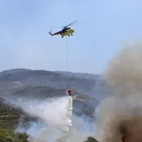 Aydın