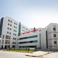 Aydın