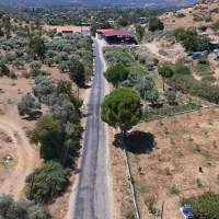 Aydın