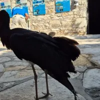 Çevre