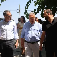 Genel