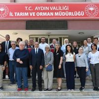 Aydın