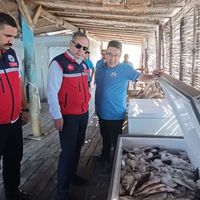 Aydın