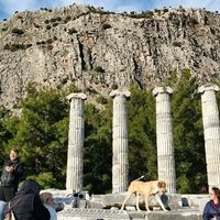 Kültür-Sanat