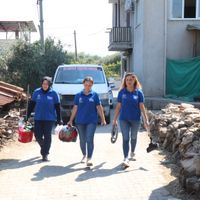 Aydın
