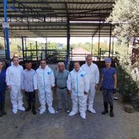 Aydın