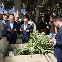 Güncel