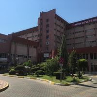 Güncel