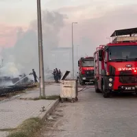 Aydın