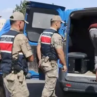 Asayiş